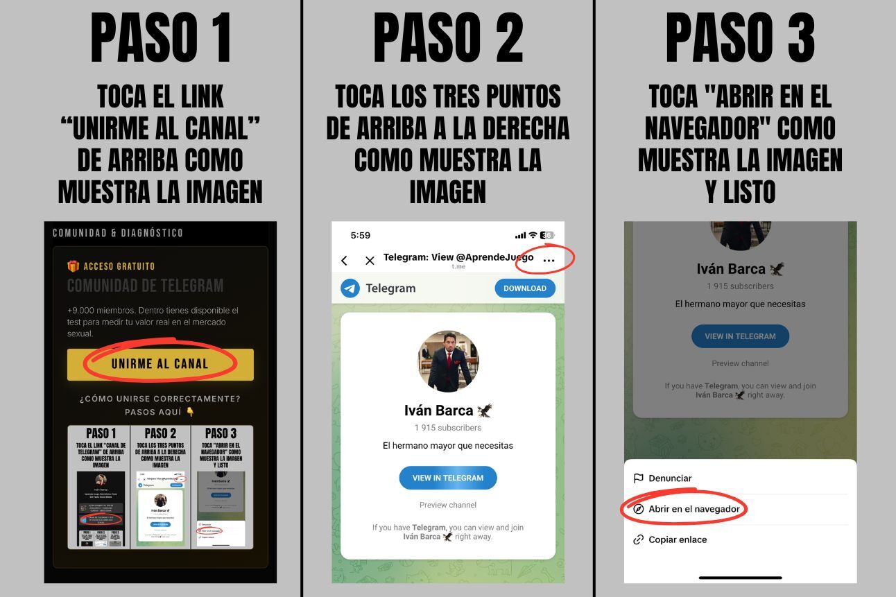 Instrucciones Telegram
